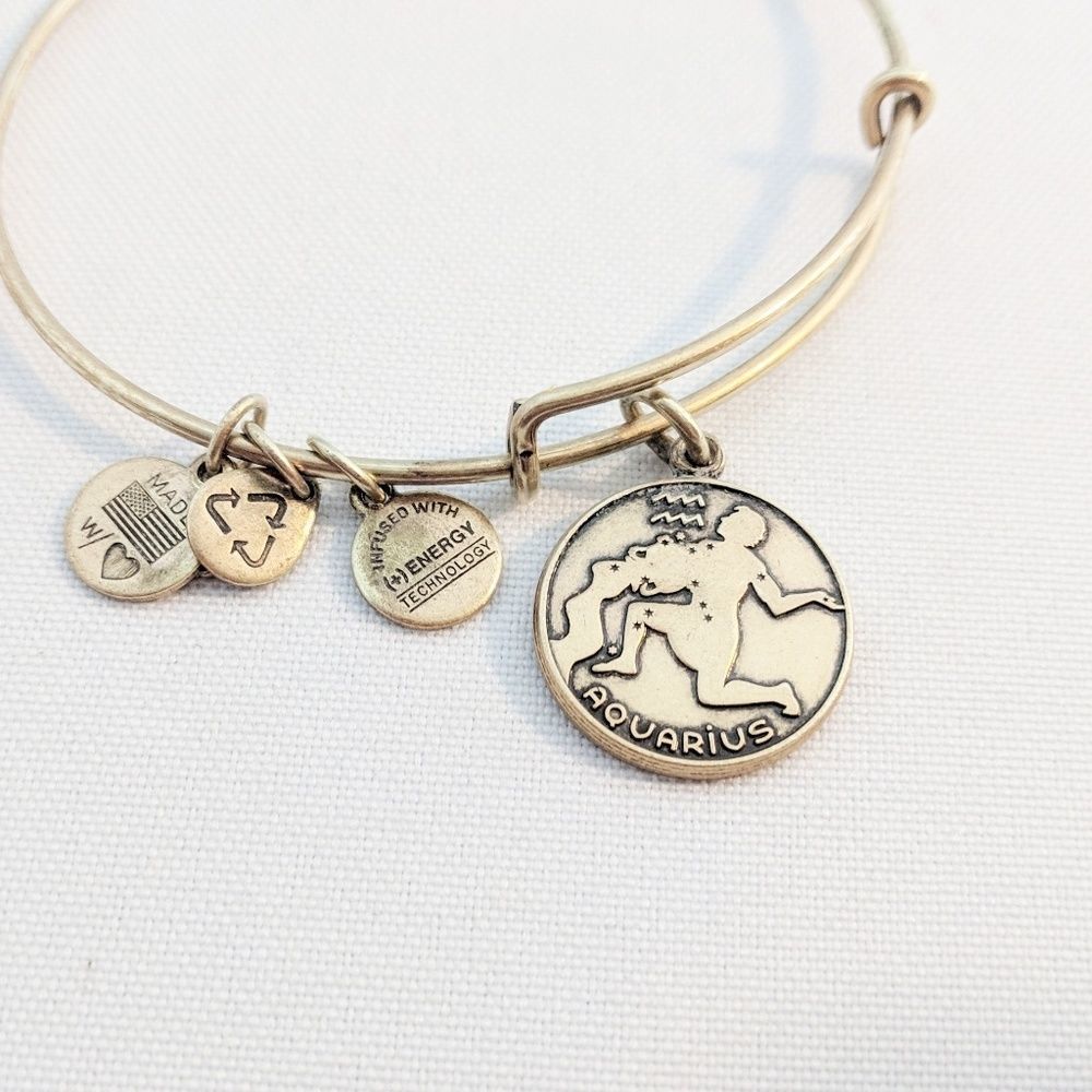 Alex and Ani Gold Aquarius Charm Bracelet